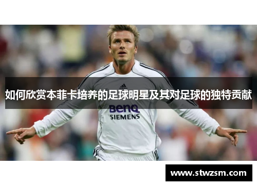 如何欣赏本菲卡培养的足球明星及其对足球的独特贡献